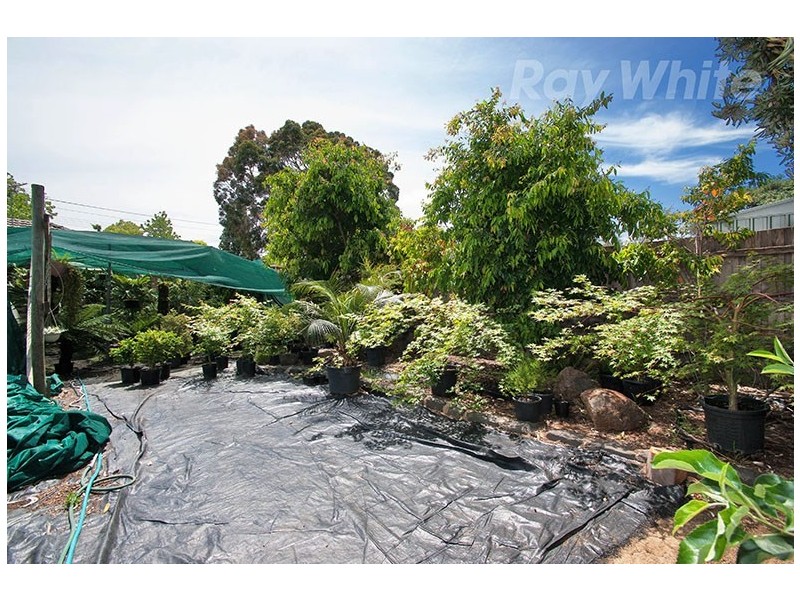 42 BROUGHTON Avenue, Croydon VIC 3136