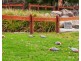 3 Monbulk-Seville Road, Seville VIC 3139