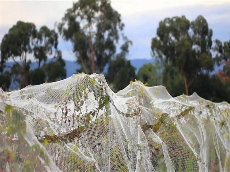 24 CROYDON Road, Croydon VIC 3136