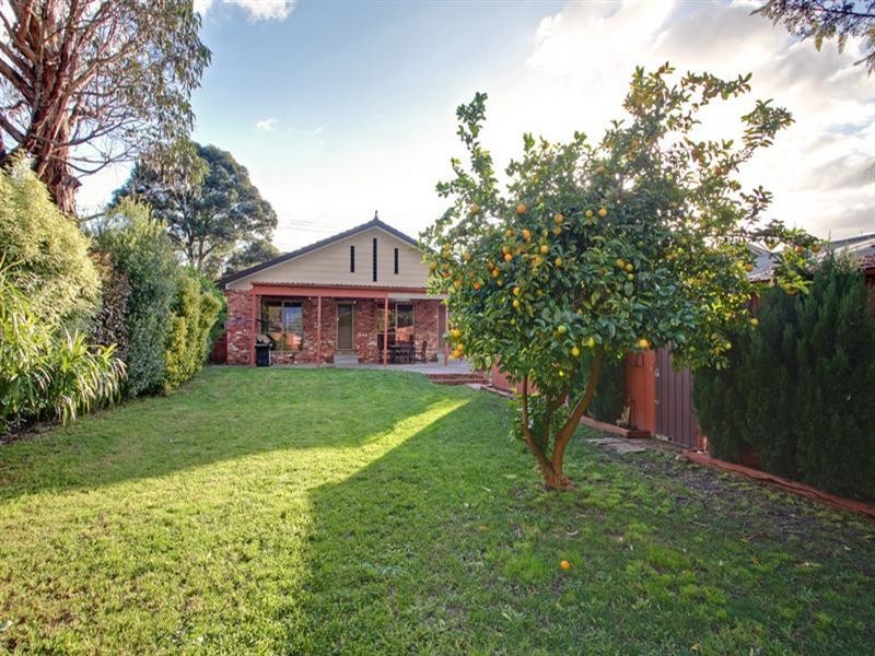 384 MAROONDAH Highway, Croydon VIC 3136