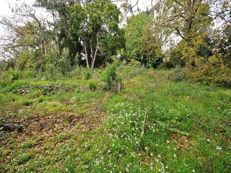 18 JOHNS Crescent, Mount Evelyn VIC 3796