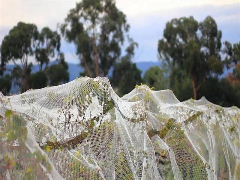 Chirnside Park VIC 3116