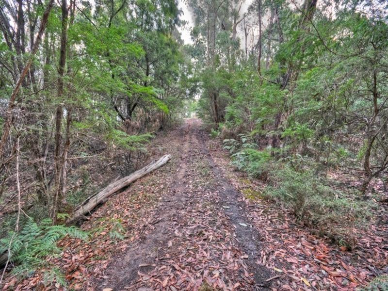 13 FORDS Road, Gruyere VIC 3770