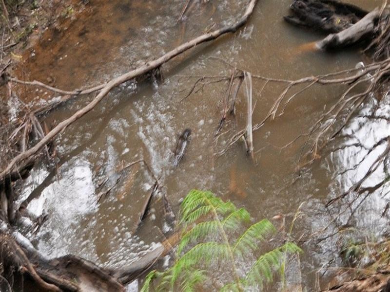 13 FORDS Road, Gruyere VIC 3770