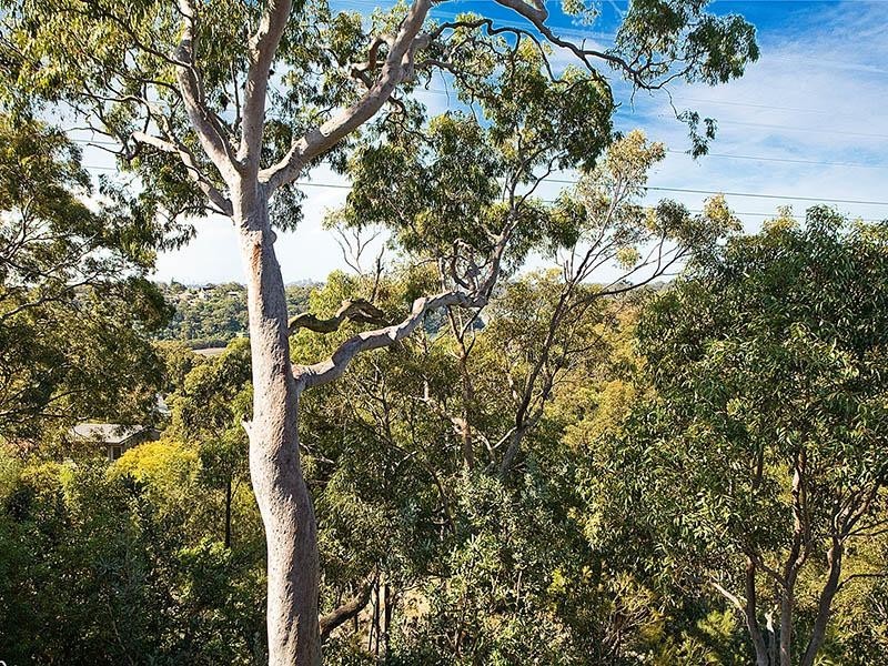 4/2A Charlotte Place, Illawong NSW 2234