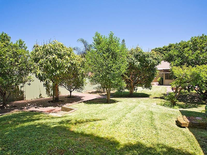 49 Dunmore Street, Bexley NSW 2207