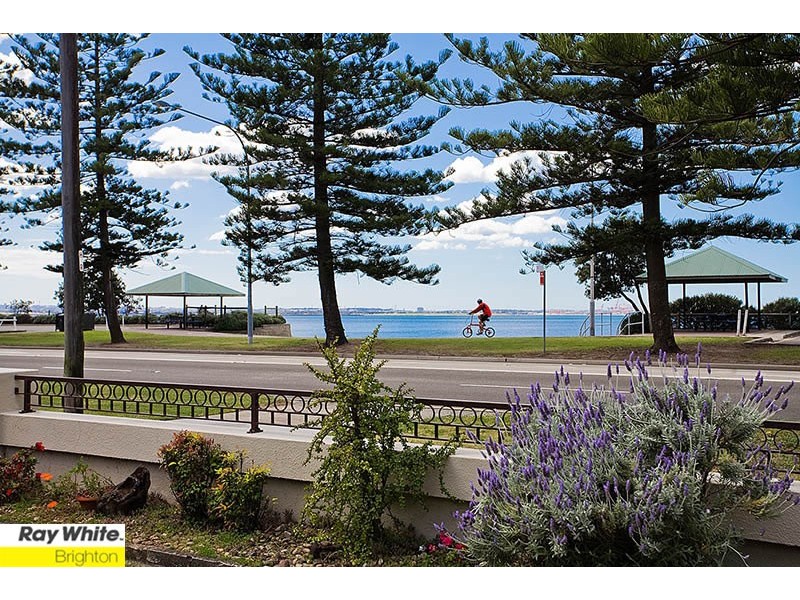 193 The Grand Parade, Monterey NSW 2217