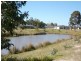 12 Black Wallaby Drive, Langwarrin VIC 3910