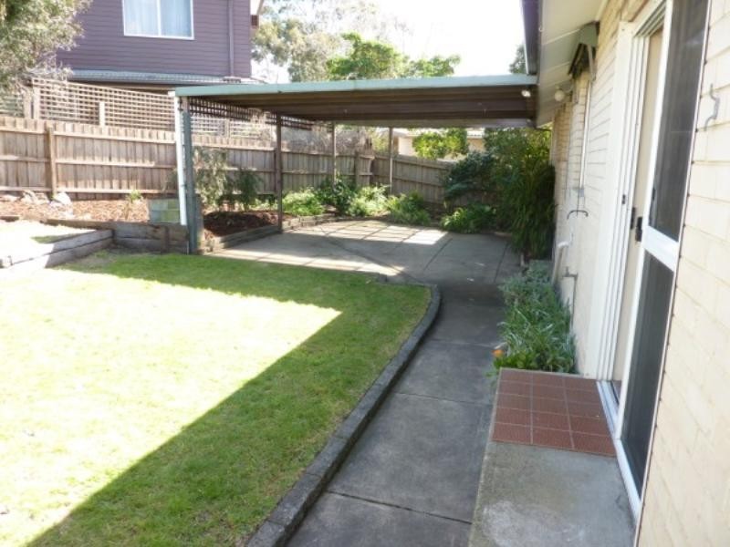 12 Berberis Crescent, Frankston VIC 3199