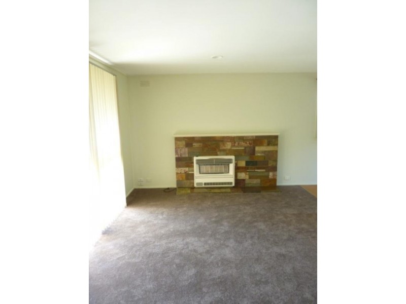 12 Berberis Crescent, Frankston VIC 3199