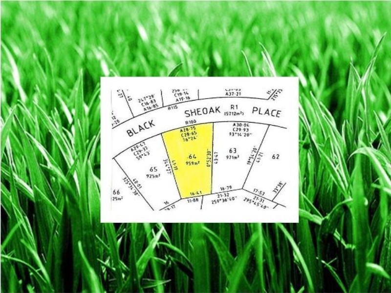 Lot 64, 6 Black Sheoak Place, Langwarrin VIC 3910