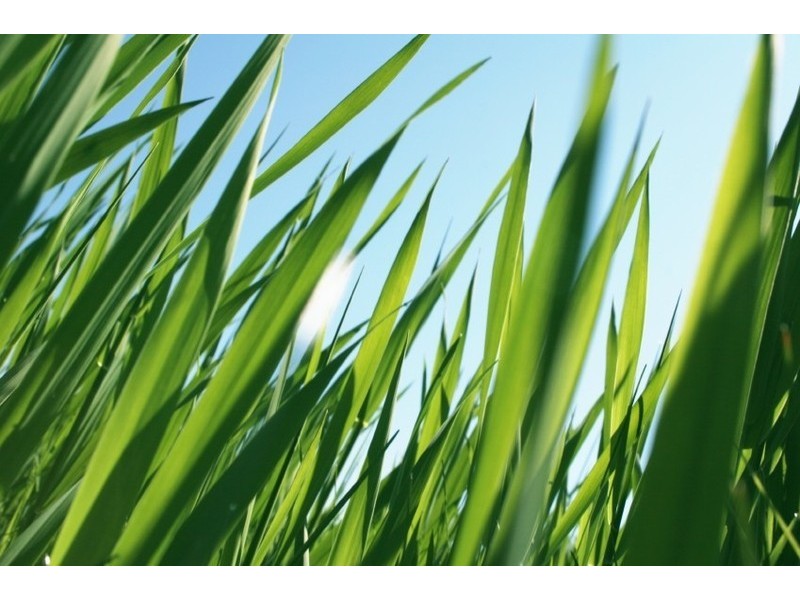 Lot 34, 1 Wood Duck Court, Langwarrin VIC 3910