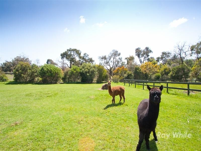 106 Centre Road, Langwarrin VIC 3910