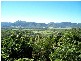 Sugarloaf QLD 4800