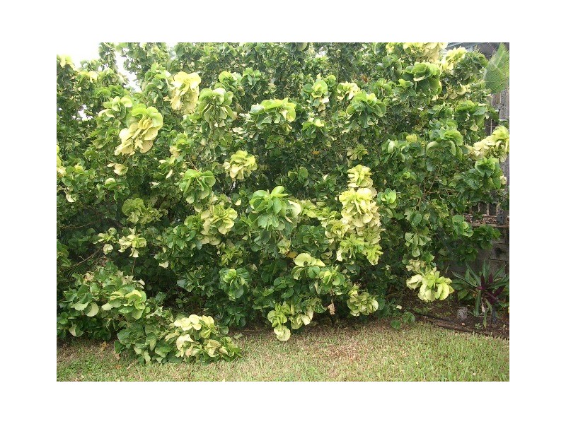 Airlie Beach QLD 4802