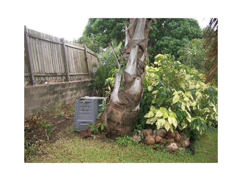 Airlie Beach QLD 4802