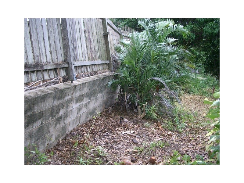 Airlie Beach QLD 4802