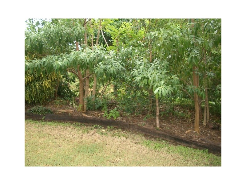 Airlie Beach QLD 4802