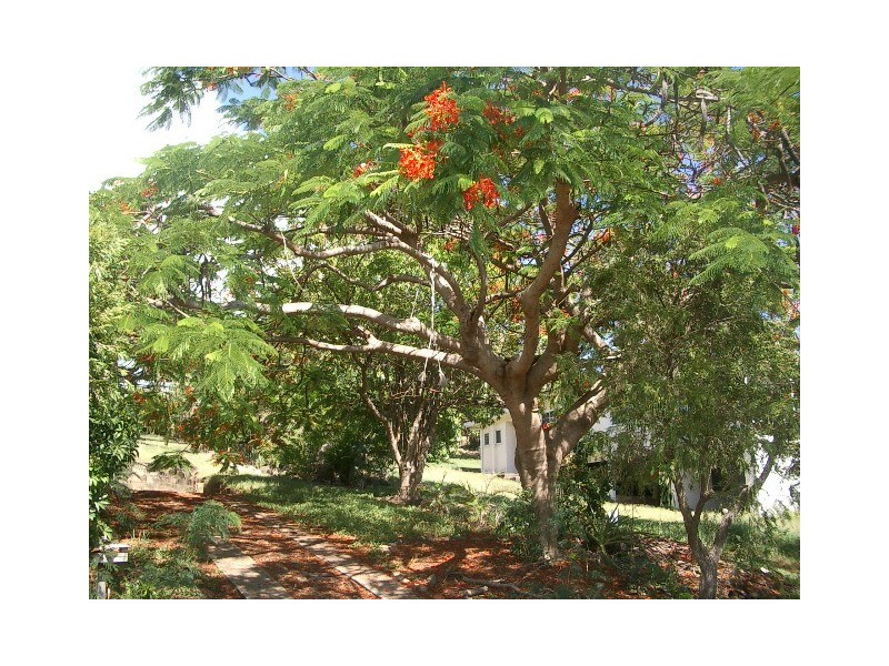 Airlie Beach QLD 4802