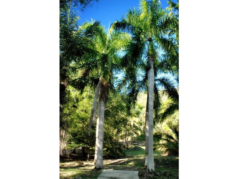 Lot 17 Pringle Road, Cannonvale QLD 4802