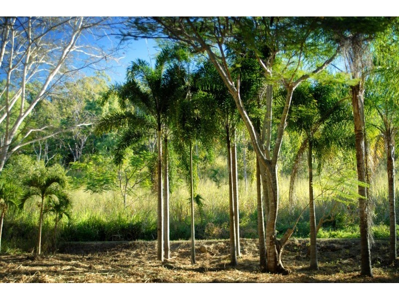 Lot 17 Pringle Road, Cannonvale QLD 4802