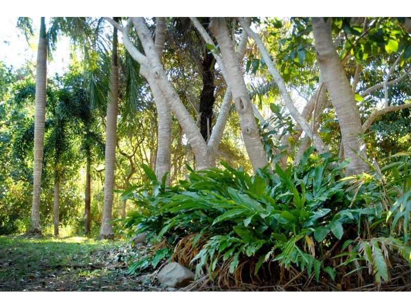 Lot 17 Pringle Road, Cannonvale QLD 4802