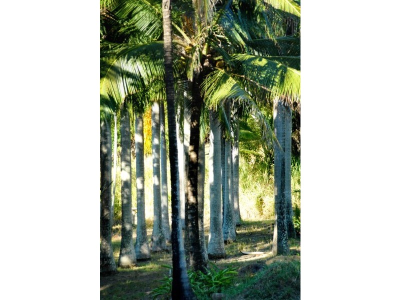 Lot 17 Pringle Road, Cannonvale QLD 4802