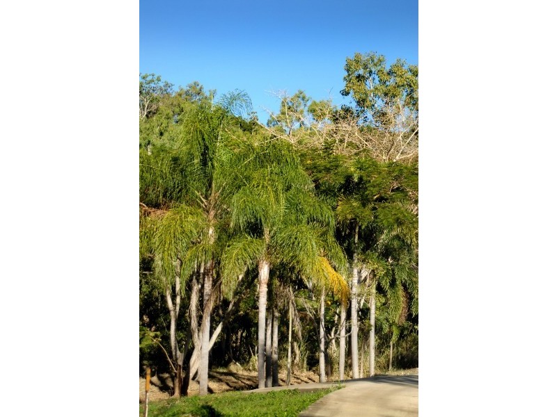 Lot 17 Pringle Road, Cannonvale QLD 4802