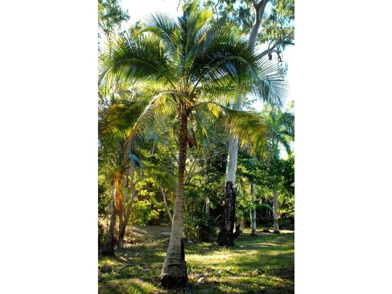 Lot 17 Pringle Road, Cannonvale QLD 4802