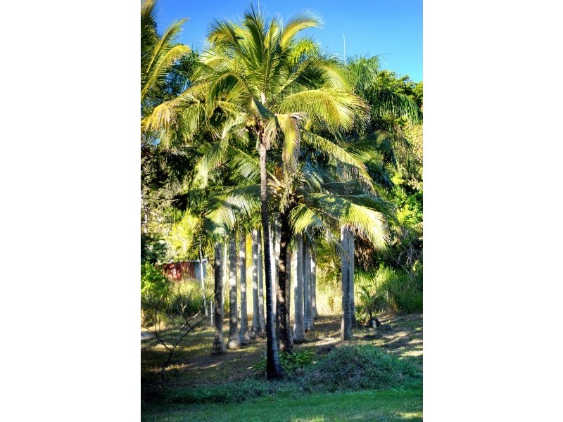 Lot 17 Pringle Road, Cannonvale QLD 4802