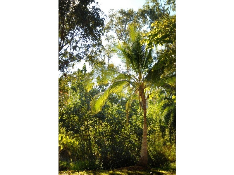 Lot 17 Pringle Road, Cannonvale QLD 4802