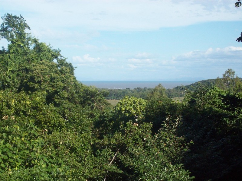 1845 Conway Road, Conway QLD 4800