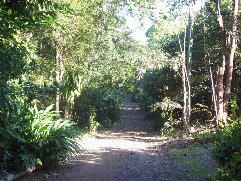 1845 Conway Road, Conway QLD 4800