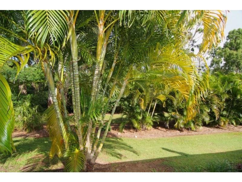 Cannonvale QLD 4802