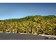 Lot 26 Paluma Road, Cannonvale QLD 4802