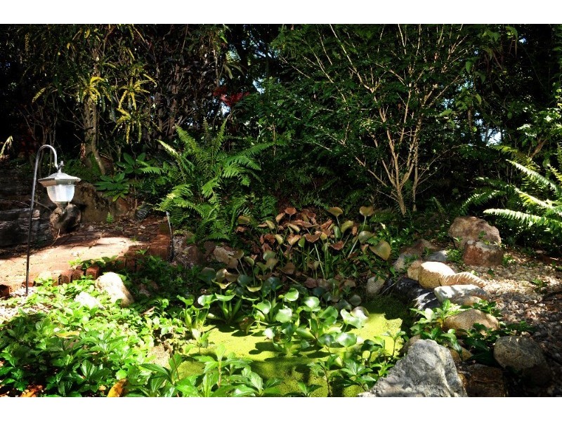 13/9 Cedar Court, Jubilee Pocket QLD 4802