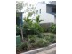 Cannonvale QLD 4802