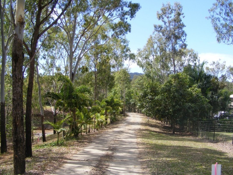 21 Braithwaite Court, Cannonvale QLD 4802