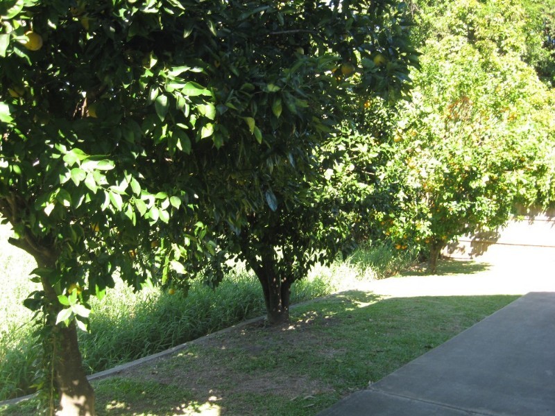 Jubilee Pocket QLD 4802