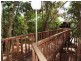 8 Sandpiper Crescent, Jubilee Pocket QLD 4802
