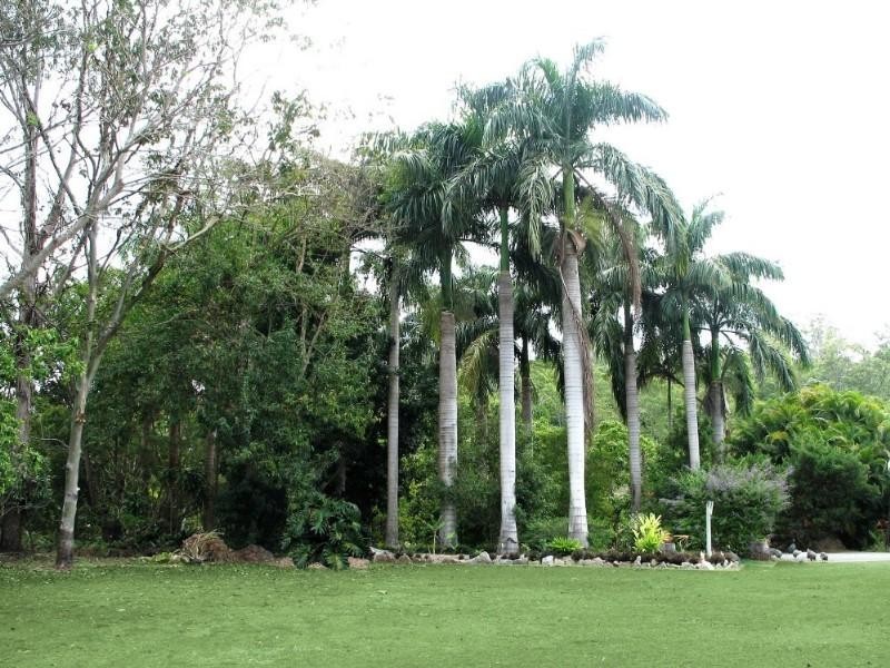 34 Braithwaite Court, Cannonvale QLD 4802