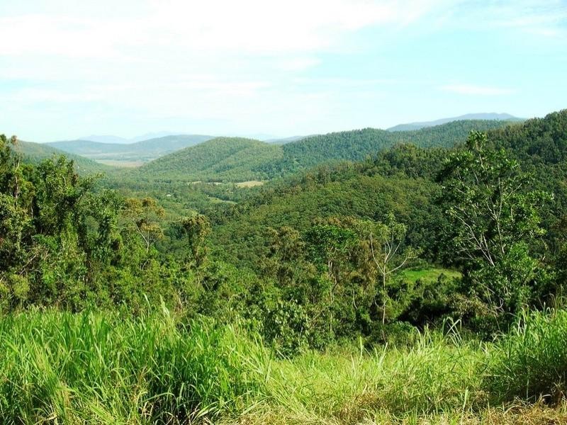 Lot 67 Forestry Road, Brandy Creek QLD 4800
