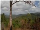 Lot 67 Forestry Road, Brandy Creek QLD 4800