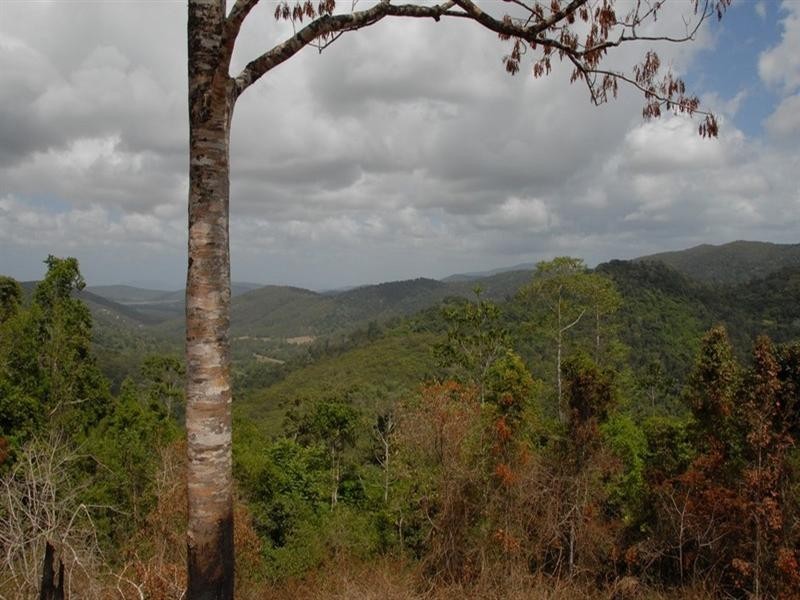 Lot 67 Forestry Road, Brandy Creek QLD 4800