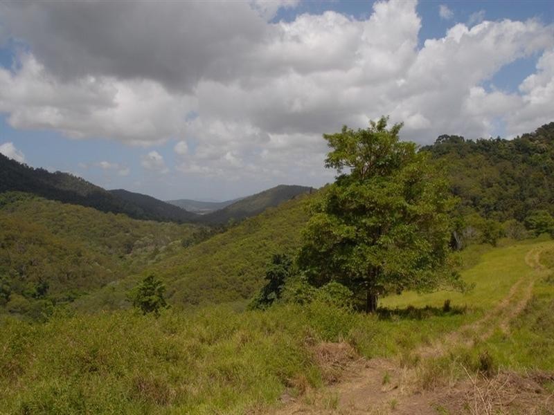 Lot 67 Forestry Road, Brandy Creek QLD 4800