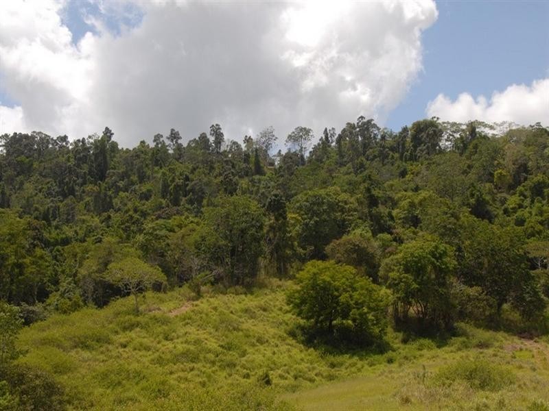 Lot 67 Forestry Road, Brandy Creek QLD 4800