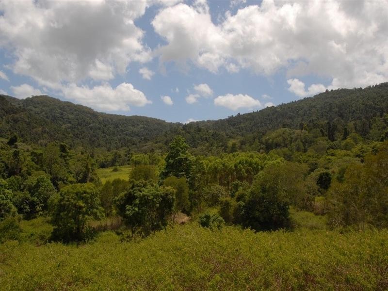 Lot 67 Forestry Road, Brandy Creek QLD 4800