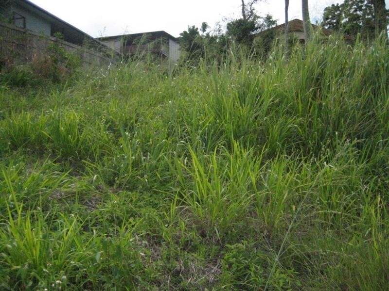 57 Country Road, Cannonvale QLD 4802