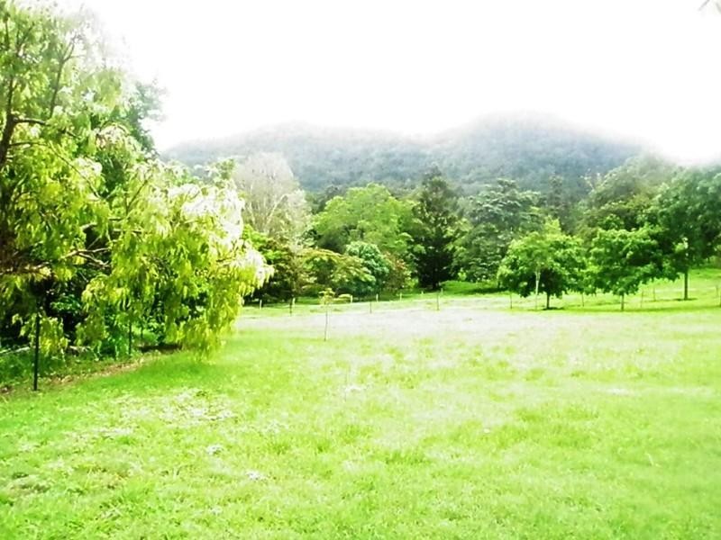 Lot 52 Orchid Road, Cannonvale QLD 4802