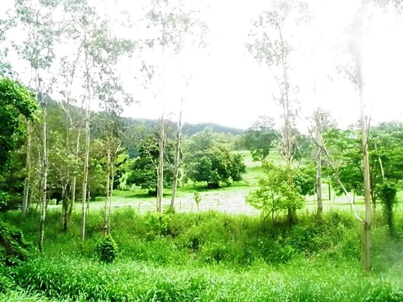 Lot 52 Orchid Road, Cannonvale QLD 4802